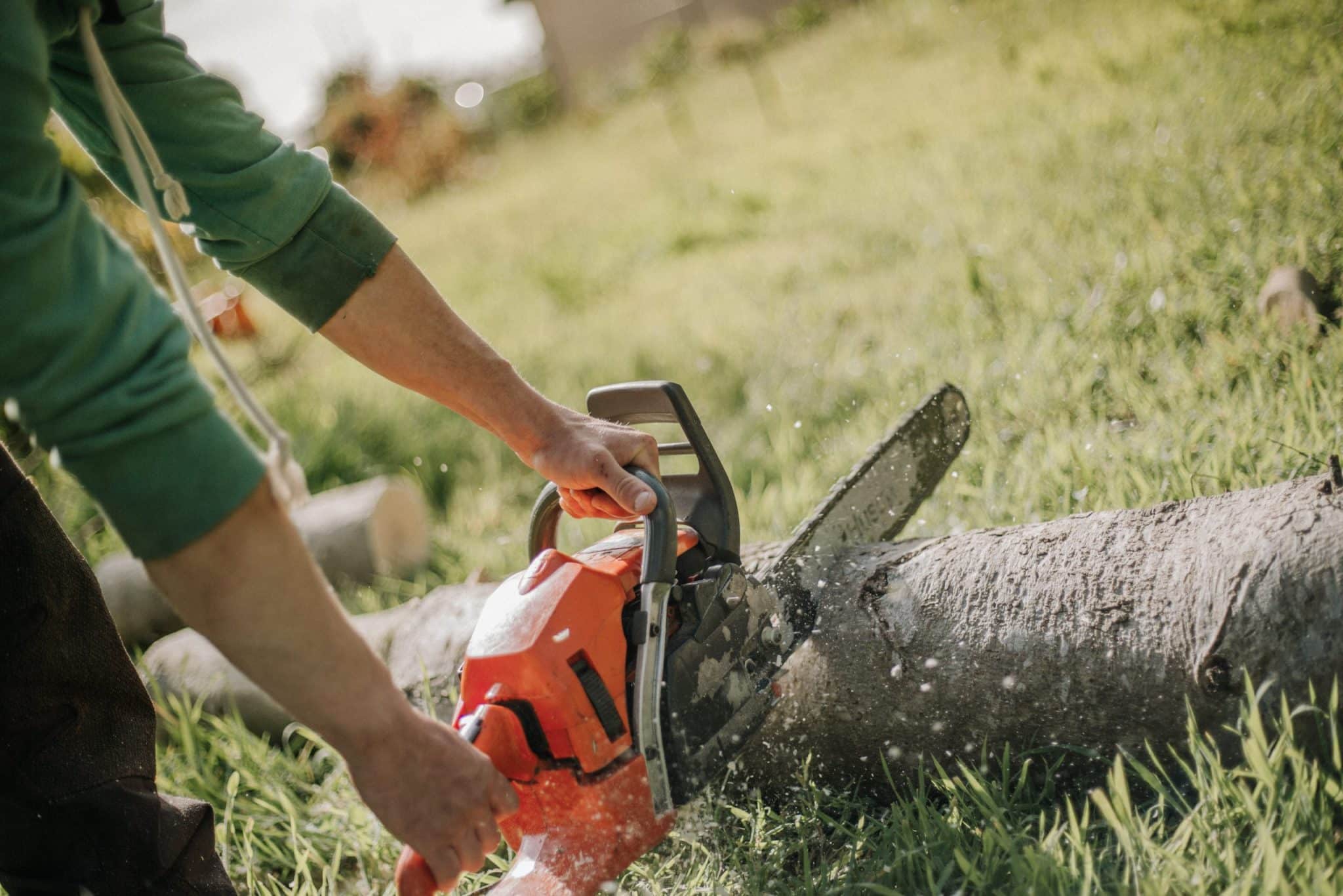 tronçonneuse en action