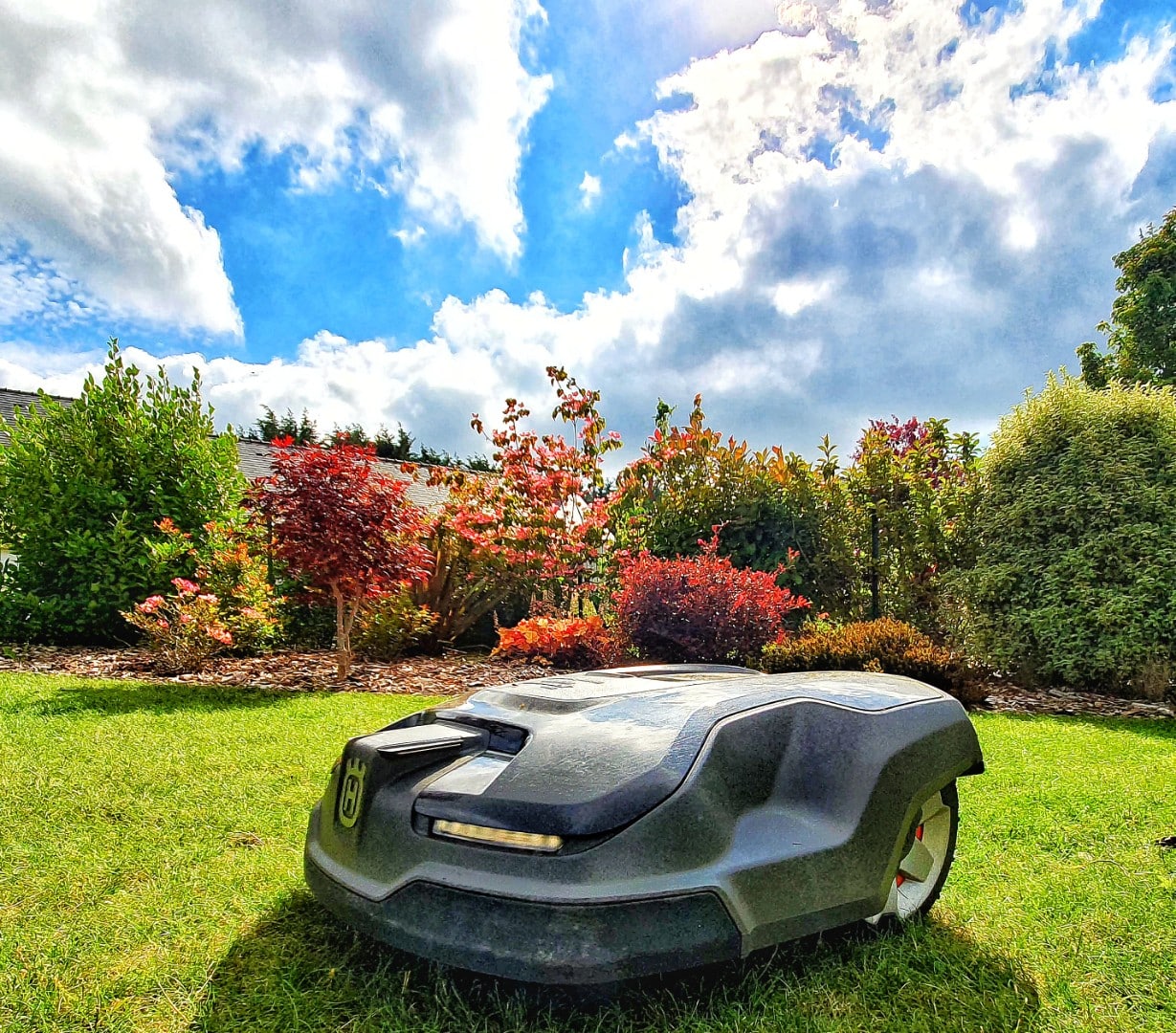 robot tondeuse en action dans un jardin