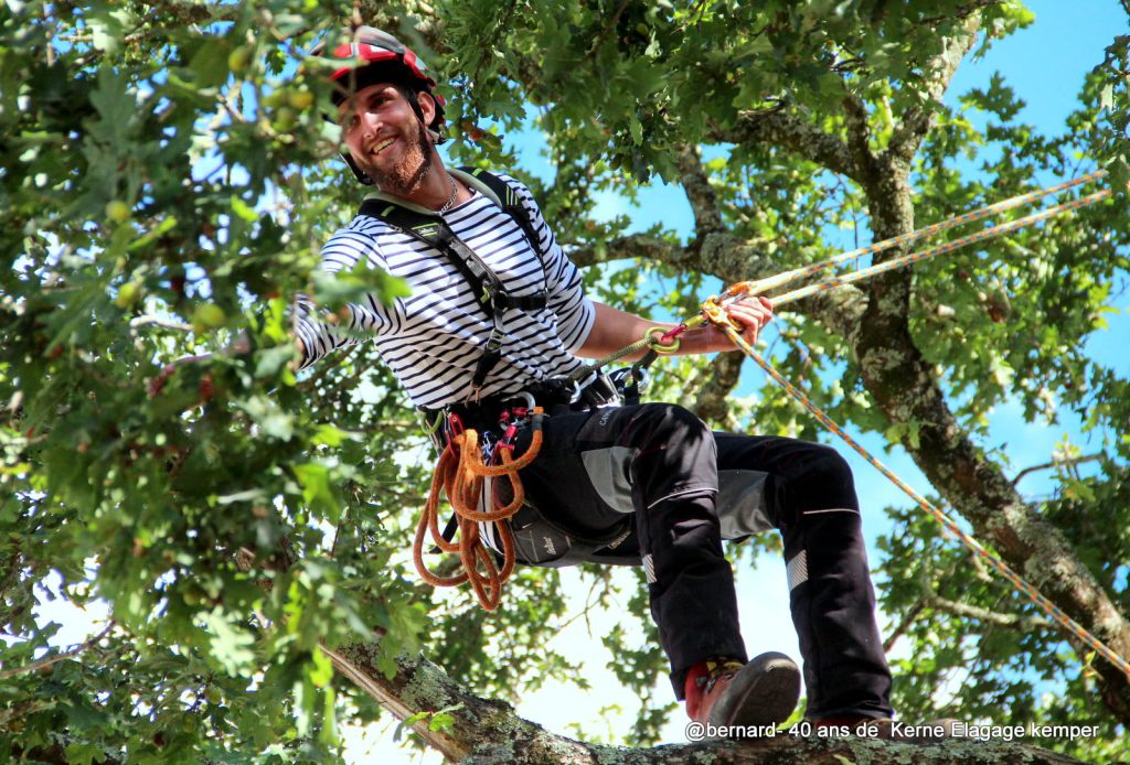 élagueur en déplacement dans un chêne