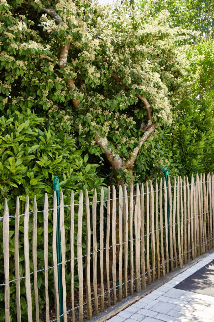 clôture en ganivelle