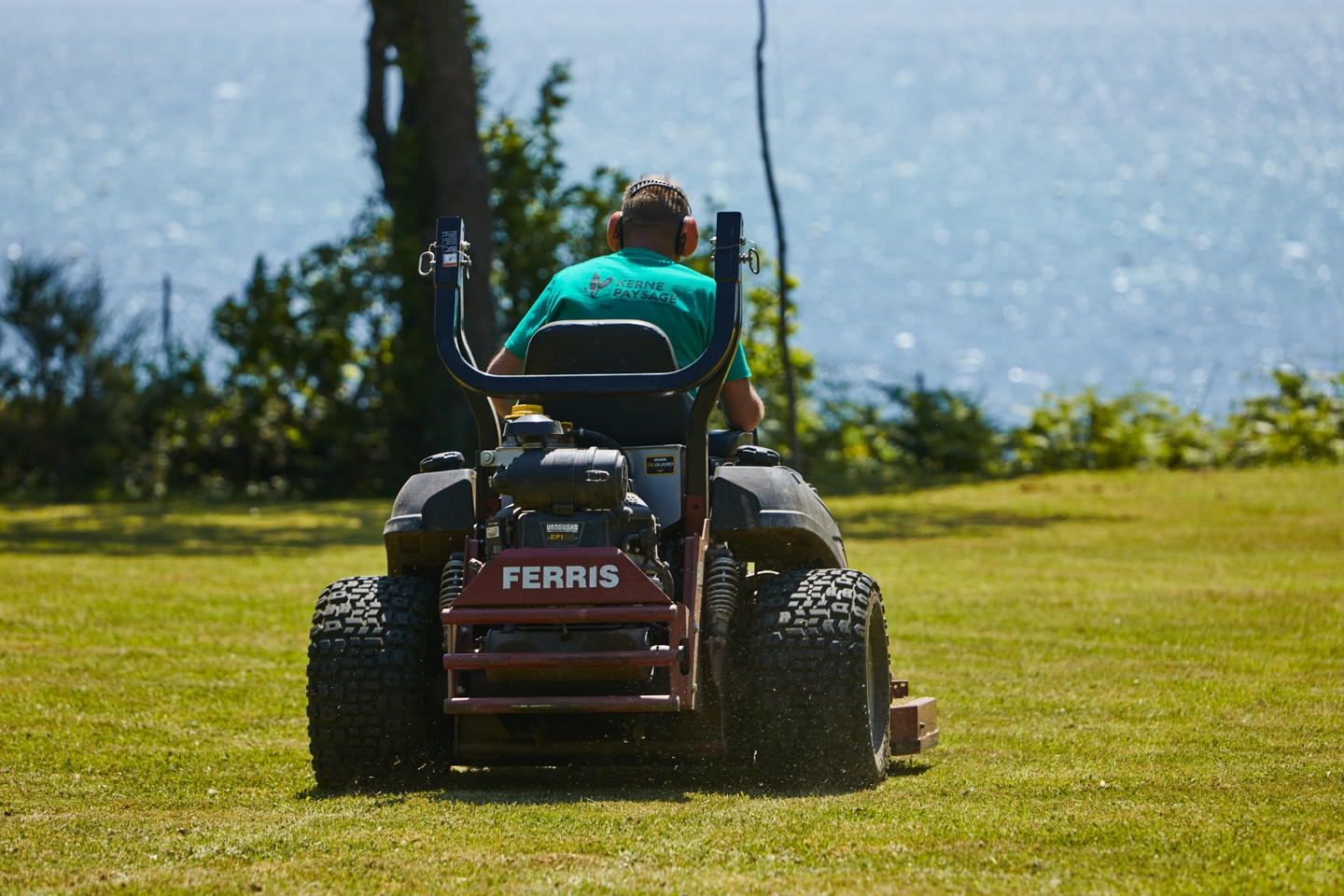 tondeuse ferris autoportée en tonte mulching