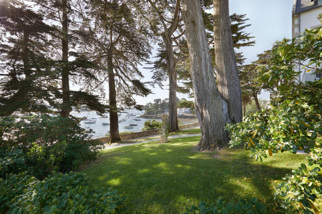 groupe de cyprès en bordure de la mer dans un jardin