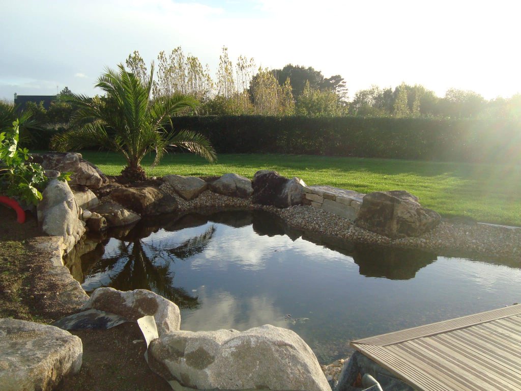 bassin dans un jardin avec tour en roches naturelles