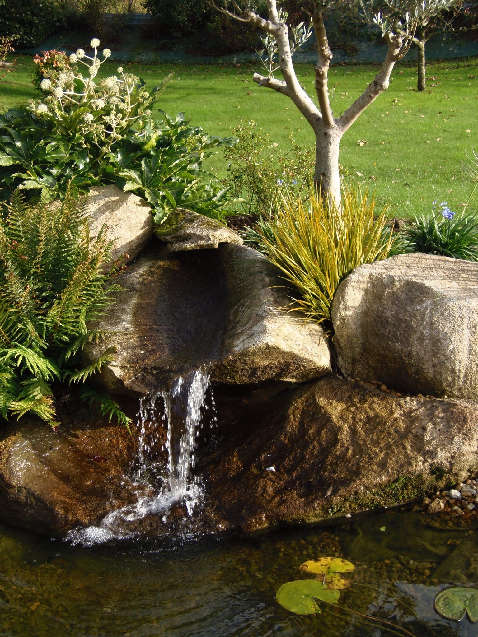 cascade coulant de rochers sur un bassin