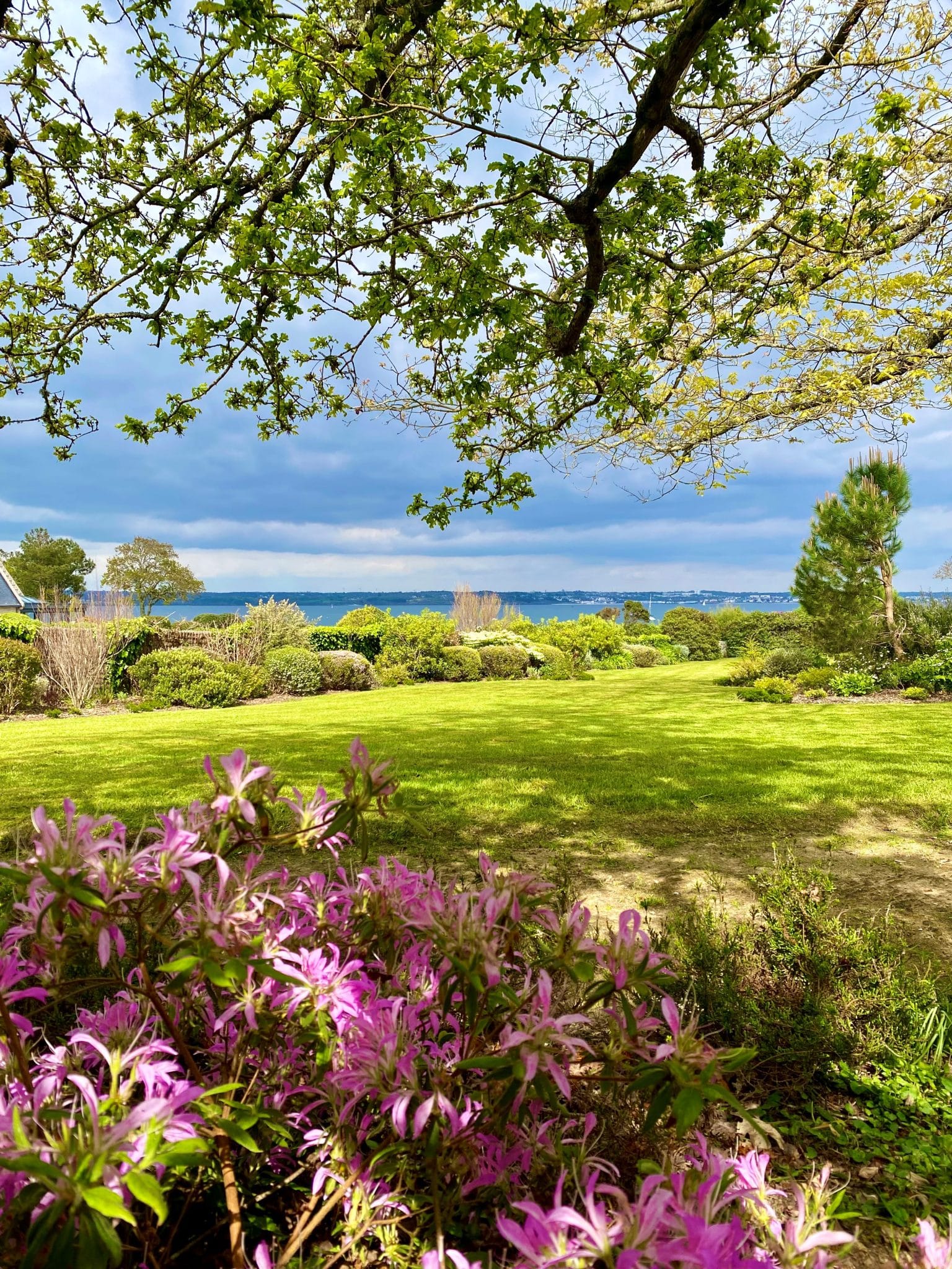 Entretien de massifs et desherbage