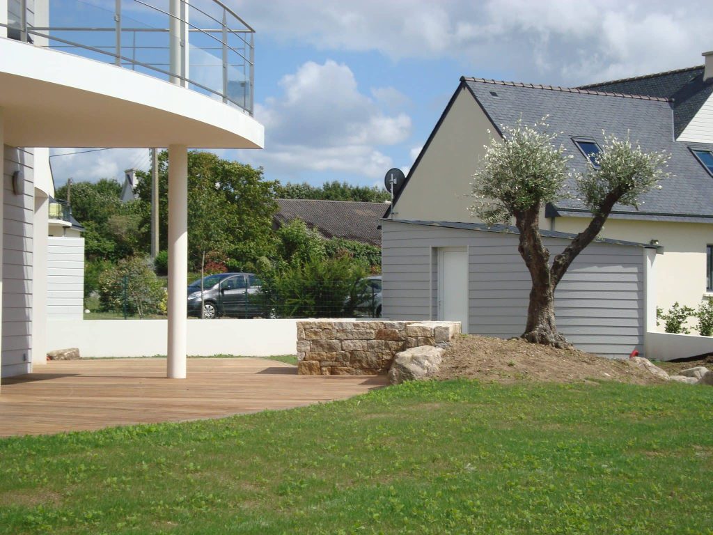 olivier devant muret en pierres naturelles taillées