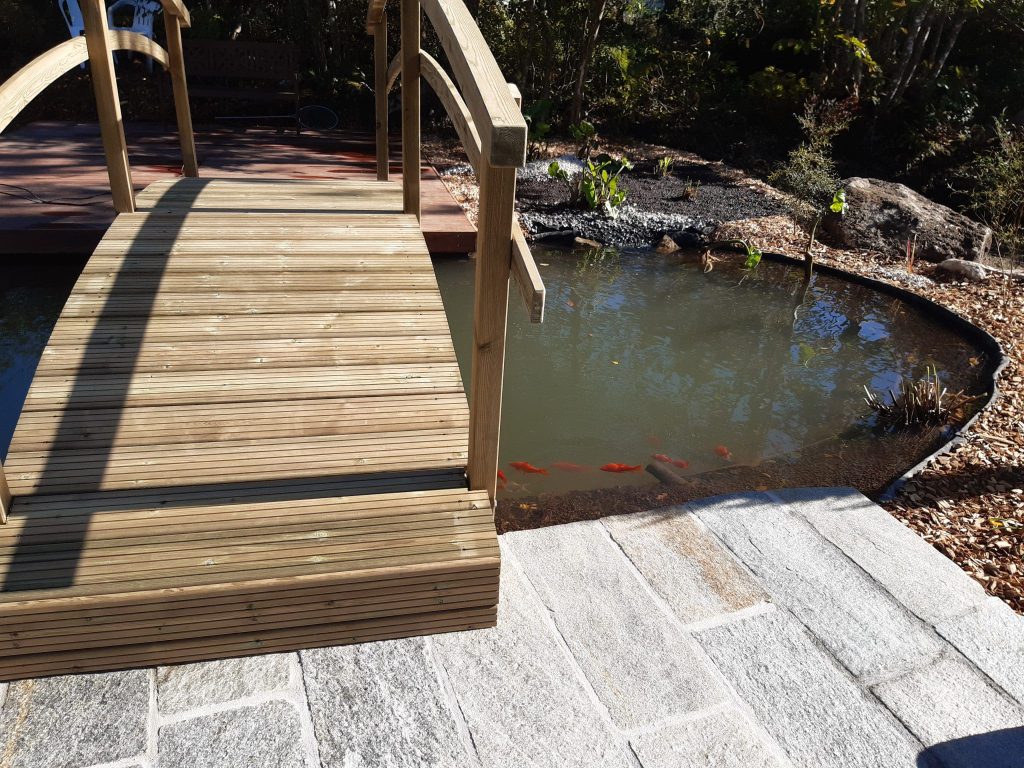 passerelle en bois au-dessus d'un bassin