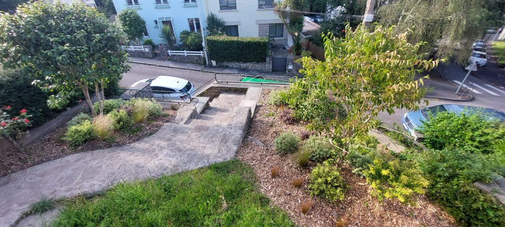 Vue de haut entrée de maison avec camelia et heptacodium dans un parterre de pittosporum